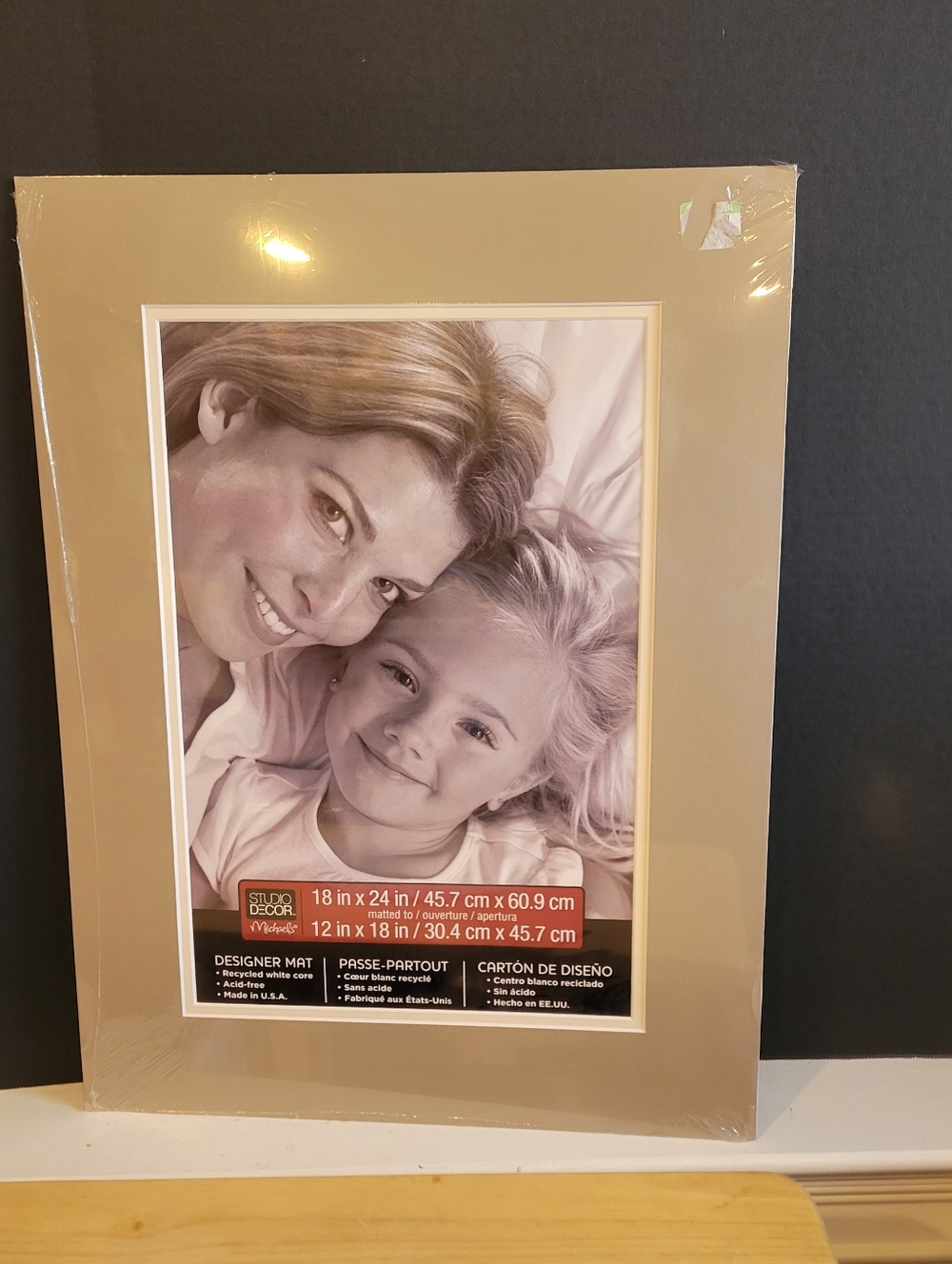 Picture Frame Designer Mat 18" x 24" matted to 12" x 18"